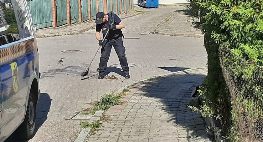 Grzybki w occie chyba nie smakowały. Musiała to posprzątać straż miejska