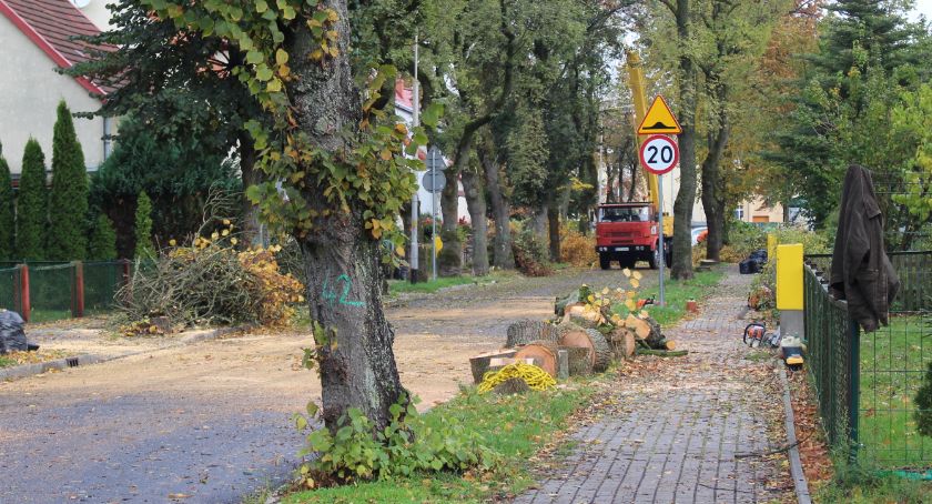 Ulica Matejki: Wycinka na żądanie mieszkańców