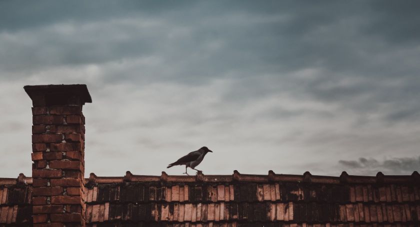 Powietrze w Szczecinku: Rok pod znakiem spadku jakości