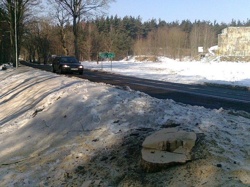 Drogowcy tną przy Kościuszki