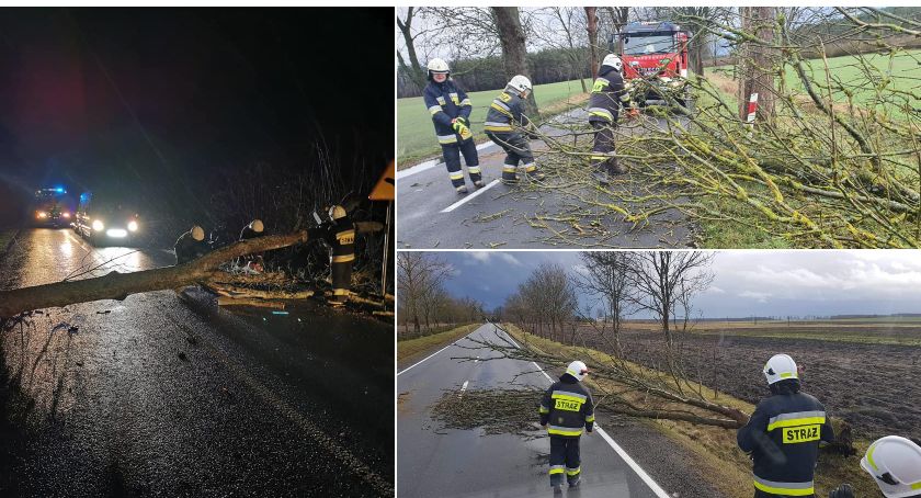 Orkan Sabina daje się we znaki w powiecie szczecineckim. Ale nie tylko. Liczne interwencje strażaków