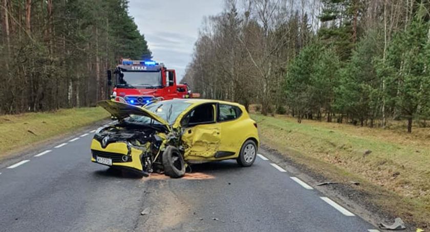 Wypadek pod Białym Borem, powalone drzewa, pożar domku letniskowego. Strażacki tydzień