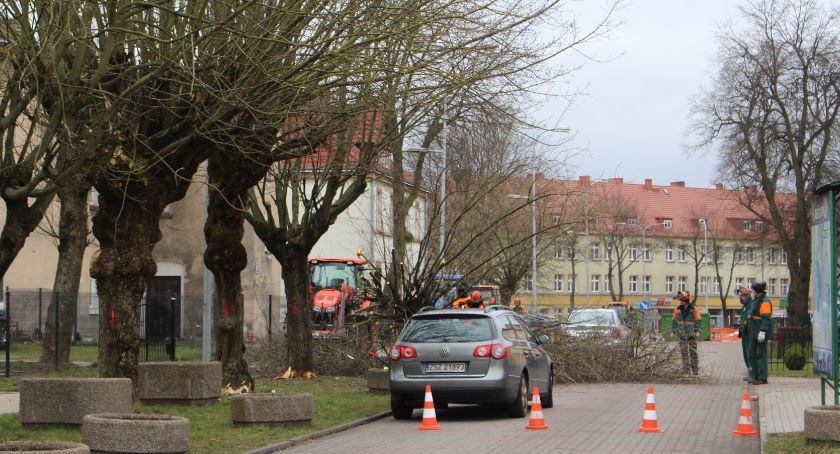 Wycinka na Dworcowej. Stare drzewa musiały ustąpić