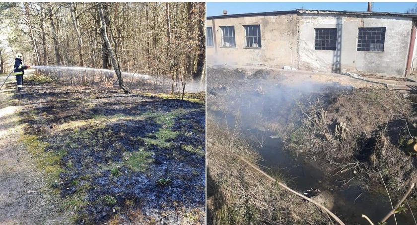 Susza. Strażacy w Szczecinku walczą z pożarami traw i nieużytków