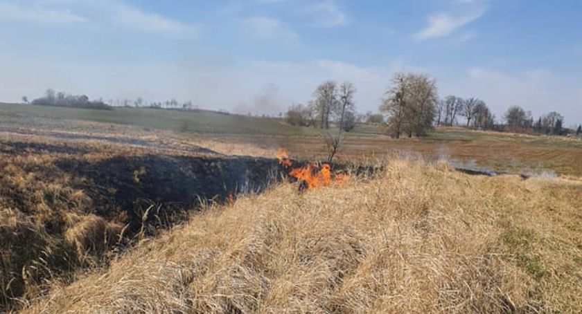 Pożary traw w Szczecinku i okolicach. „Ogień zabija wszystko, co żyje”