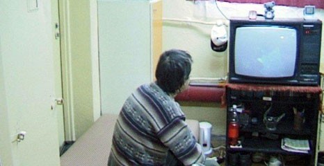 Mróz! Schronisko dla bezdomnych pracuje pełną parą