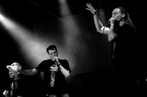 Bruk Braders – charytatywnie na schronisko