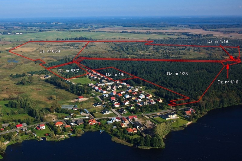 Lasek Zachodni trafi pod młotek – tylko, kto go kupi?