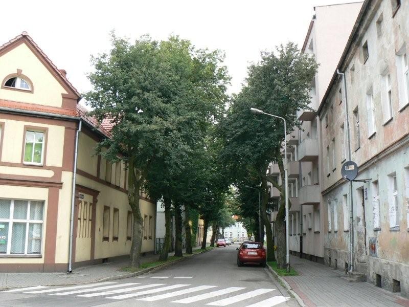 Wytną drzewa. Na ul. Emilii Plater znów zaświeci słońce