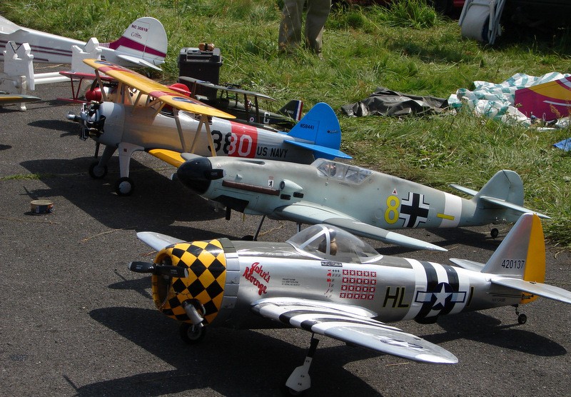 Trwa Piknik Modelarski w Wilczych Laskach