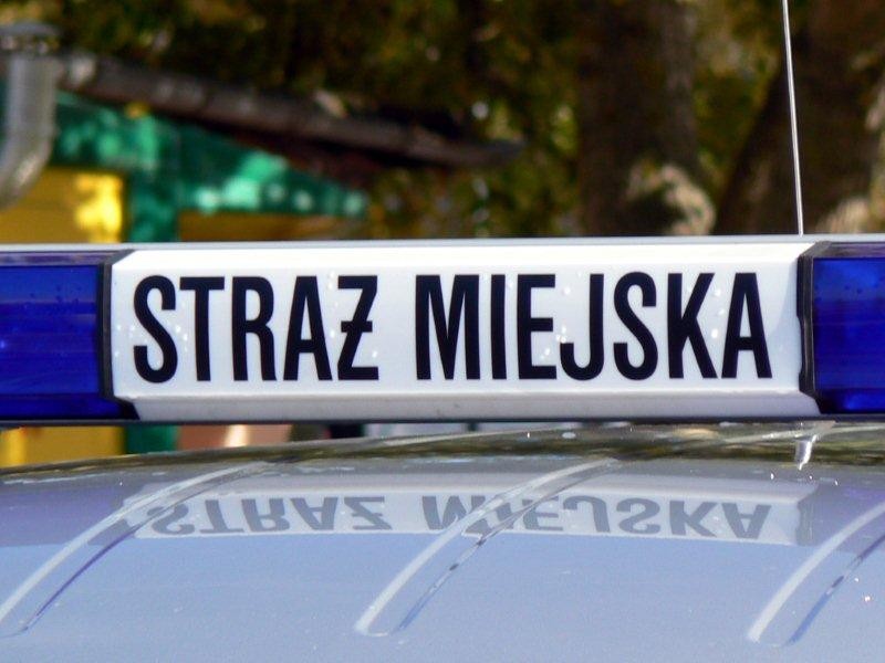 Po pijanemu w radiowóz, awantura w kościele, nietrzeźwi nieletni 