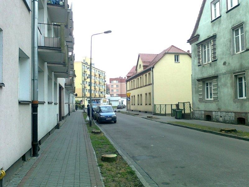 Nowe nasadzenia - na wiosnę