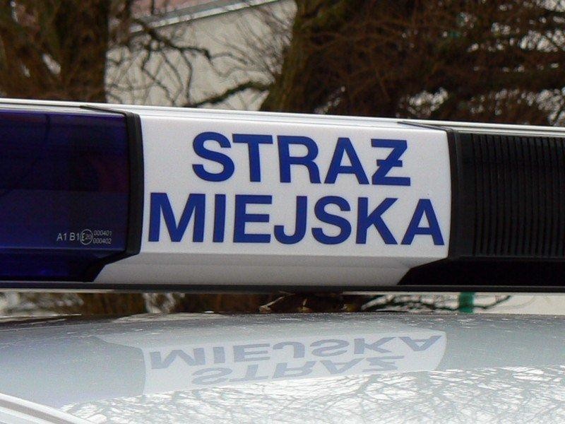 Picie pod chmurką, czyli za co podpadamy Straży Miejskiej