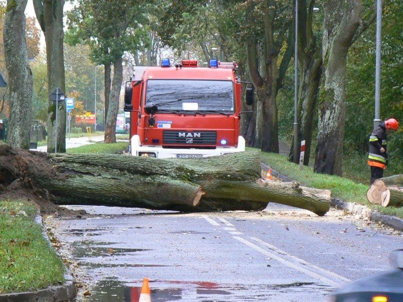 Naprawią ulicę? Wytną drzewa? Tylko kiedy...