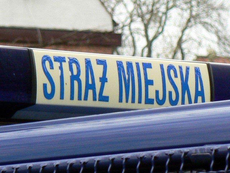 Młodzi dilerzy i jeszcze młodsze złodziejki
