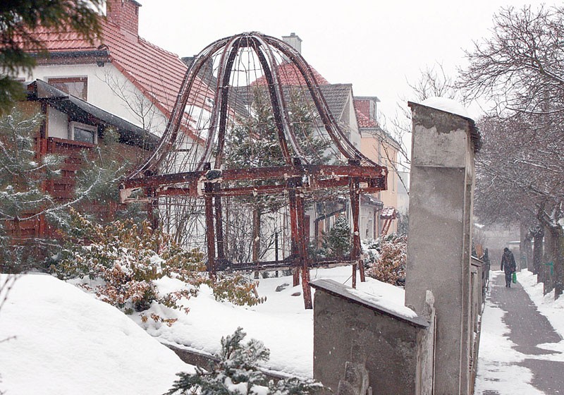 Świadek stuletniej historii miasta - ocalał!