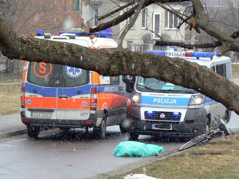 Śmierć rowerzysty (akt.)