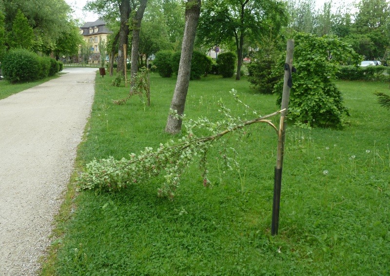 Zniszczyli wszystko