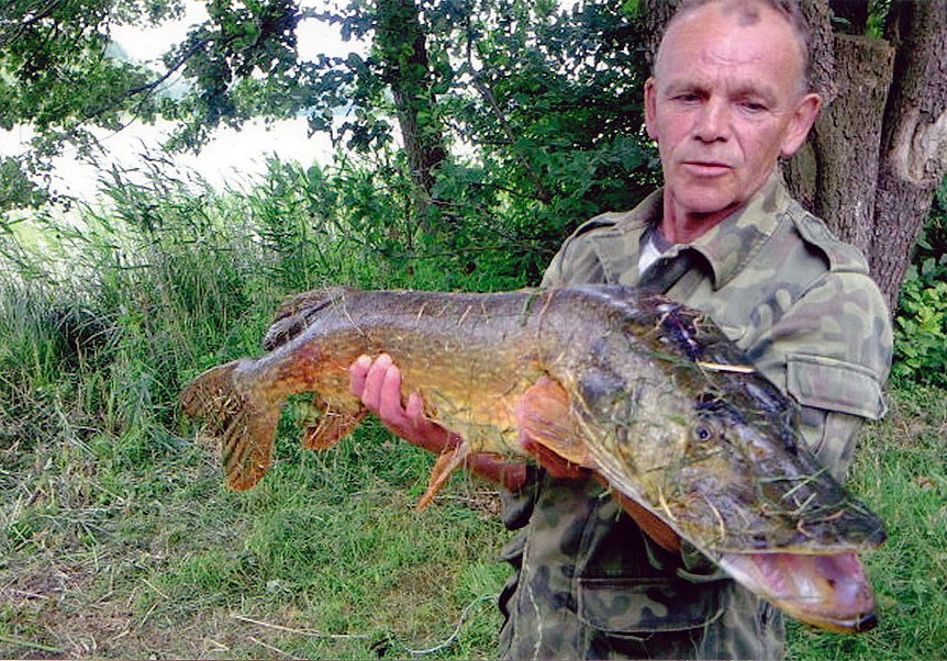 Rekordowy szczupak z jeziora Spore – 109 cm i 8 kg wagi  