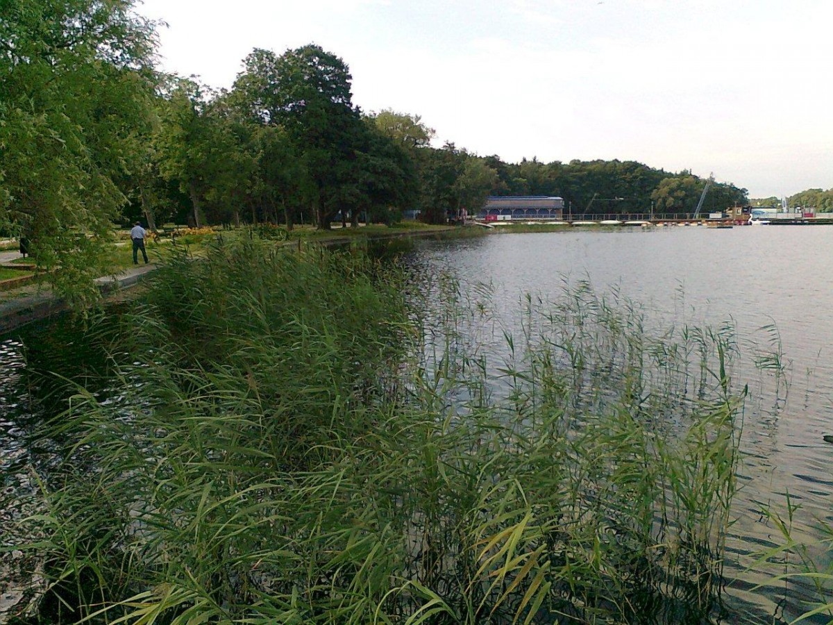 Wykoszą... jezioro