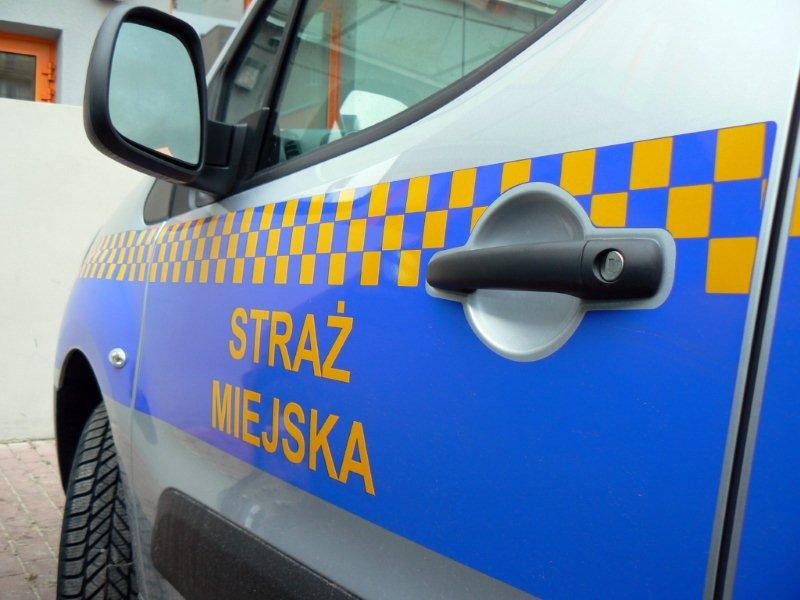 Próba gwałtu i pies bez dozoru