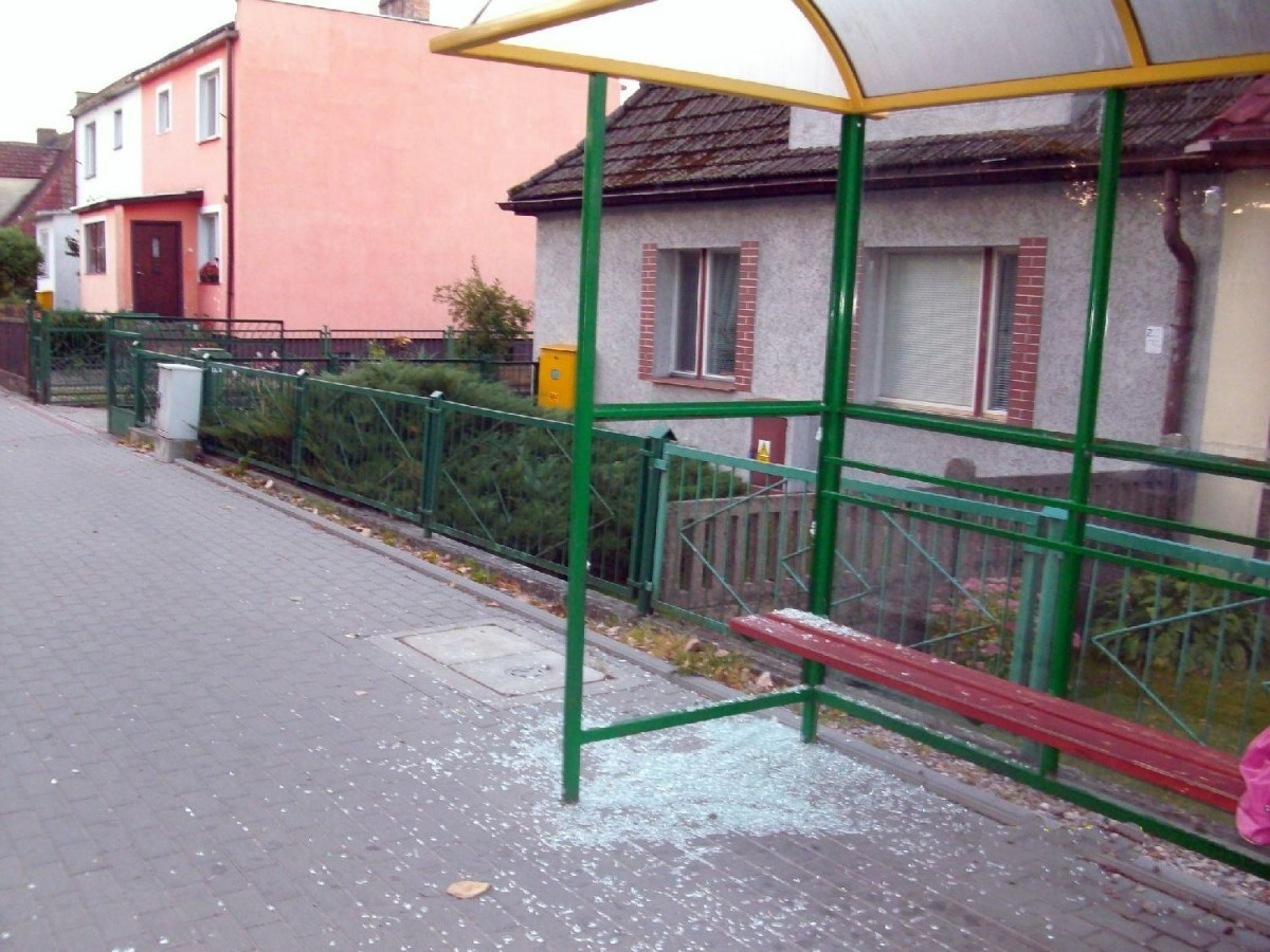 Maluch 