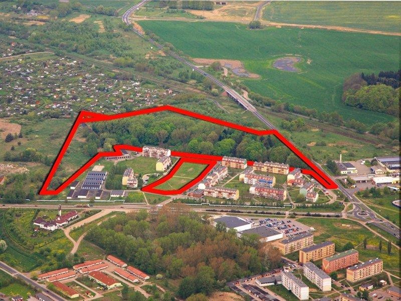 Nikt nie kupił Małpiego Gaju