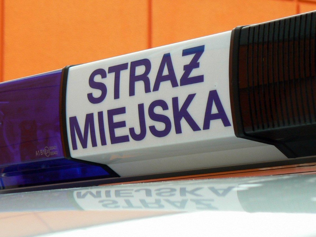 Picie w miejscach publicznych i zakłócanie porządku