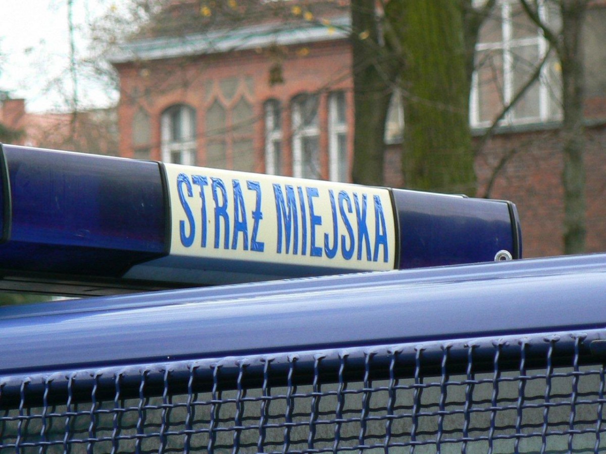 Zadyma pod barem i 153 inne interwencje