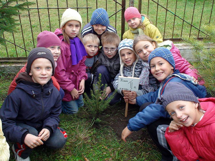 Szkolne Święto Drzewa