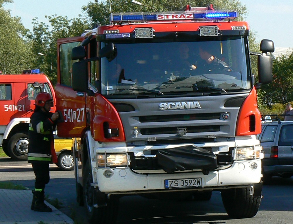 Pożar sadzy w kominie, pustostanu i drzewo na drodze
