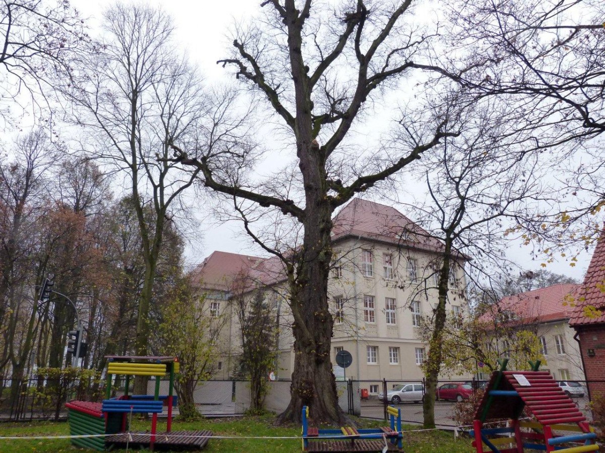 Mniej o dwa pomniki