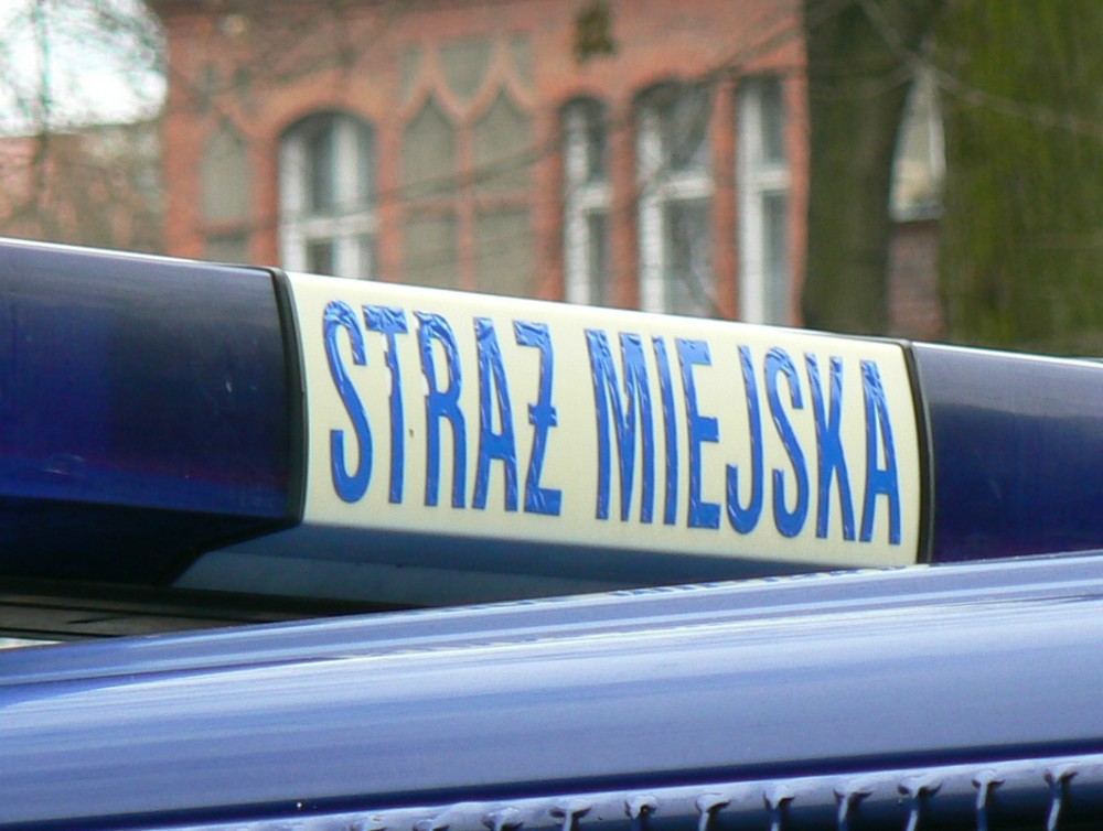 Awantury i ucieczka przed policją 