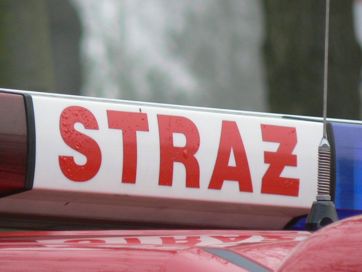 Prąd zabił krowy, drzewa na drogach. Strażacy w podwyższonej gotowości bojowej