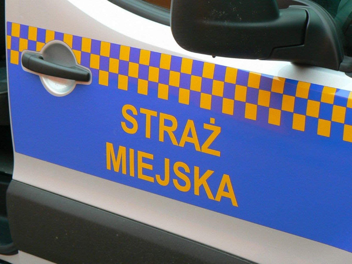 92 interwencje, 10 mandatów, 3 wnioski do sądu