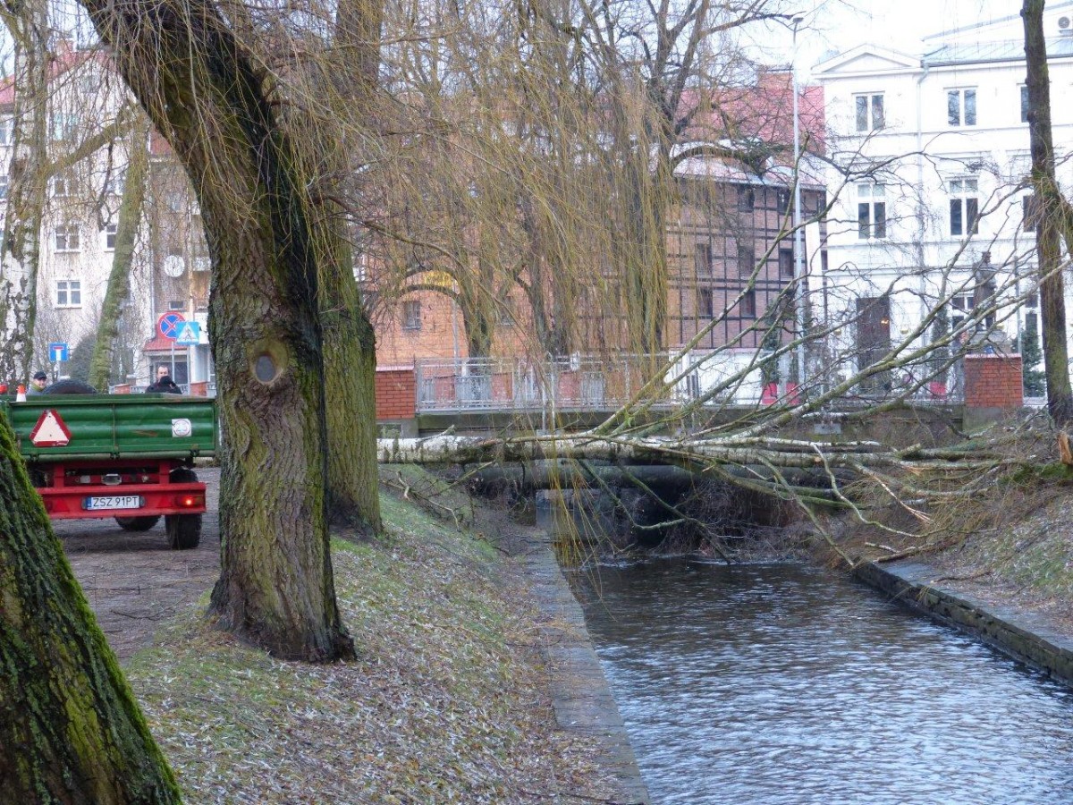 Sprzątanie po Ksawerym