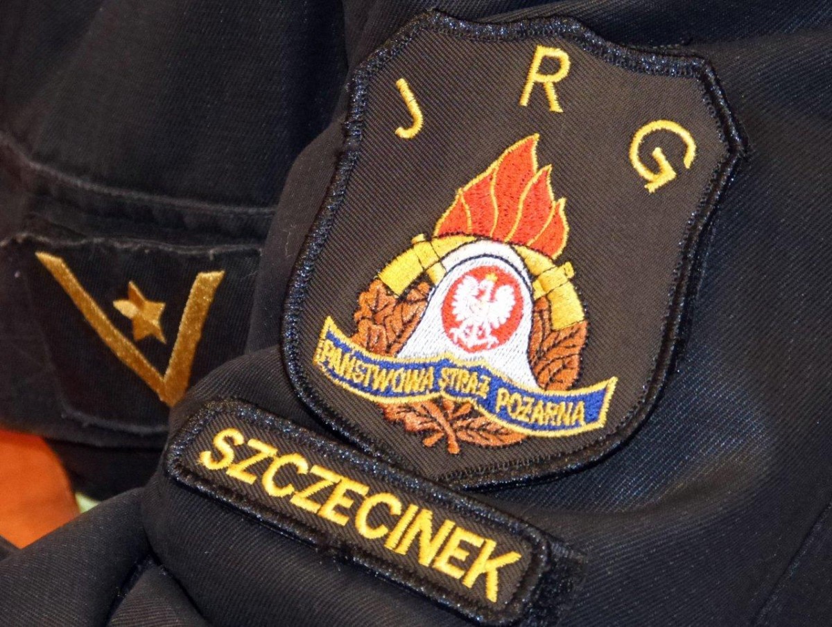 Płonąca sadza, trawy, drzewo i śmietnik 