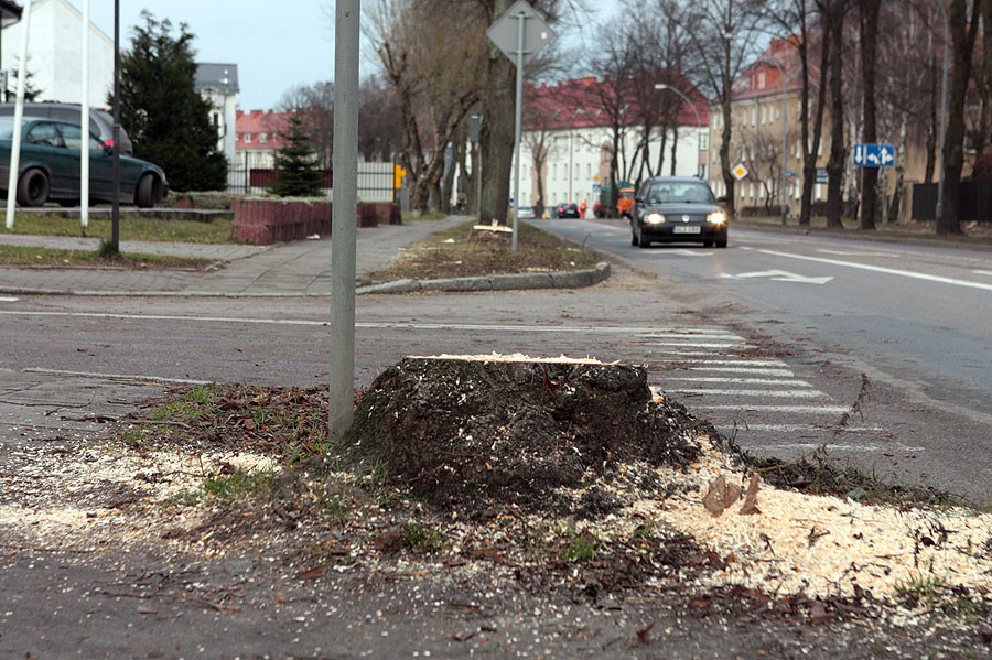 Na Słowiańskiej ubywa lip