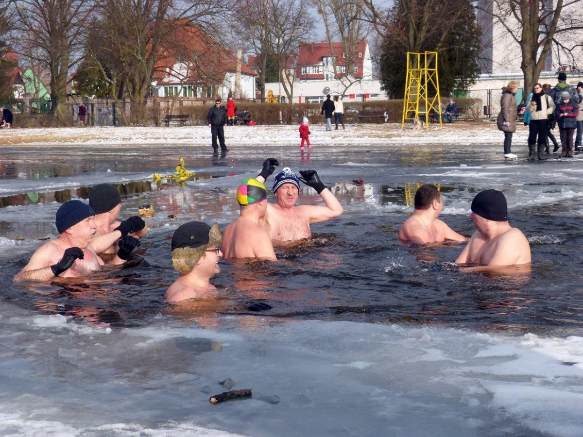 Morsy chłodzą się w Trzesiecku