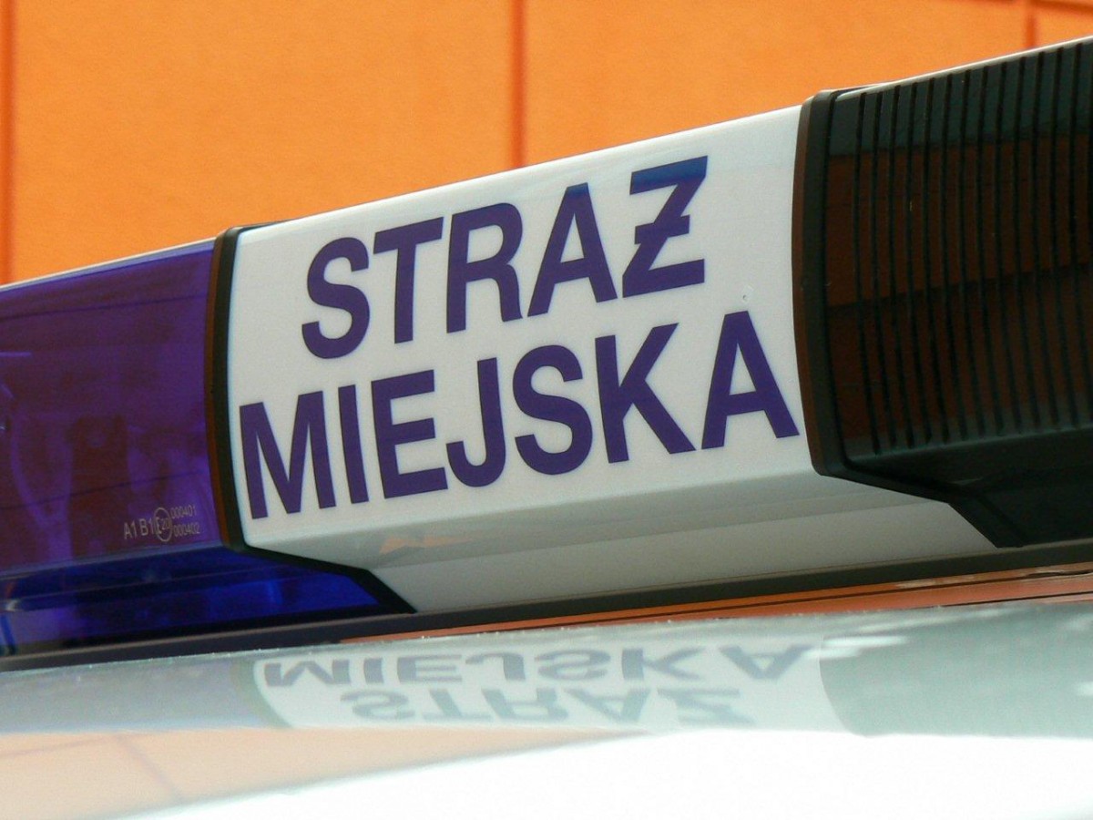 Jechał pod prąd, ale miał 2,5 promila