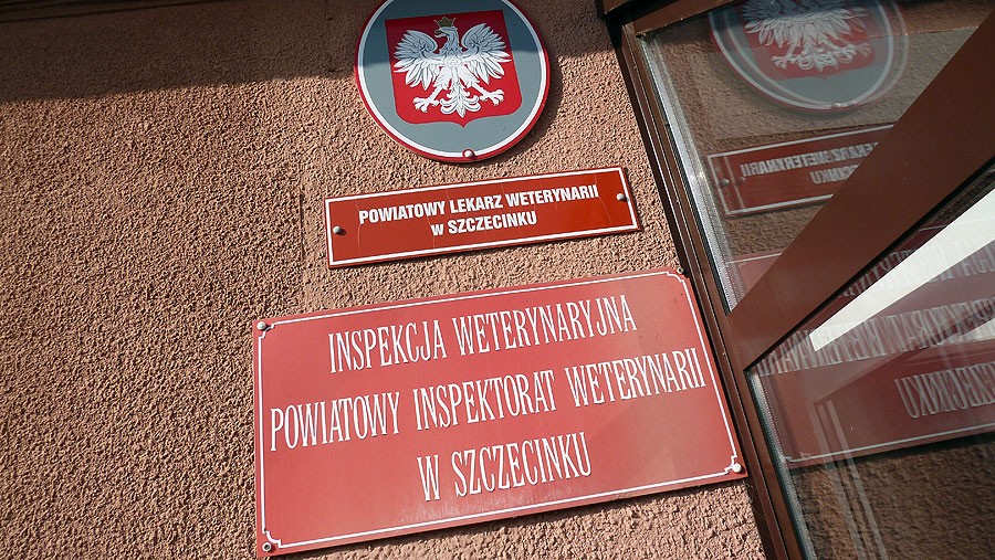 Nowy powiatowy weterynarz