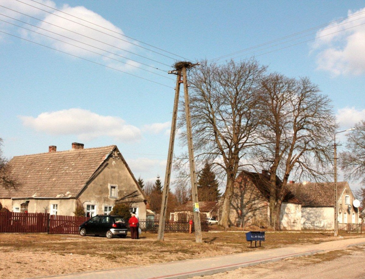 Pomogliśmy bocianom w Mosinie