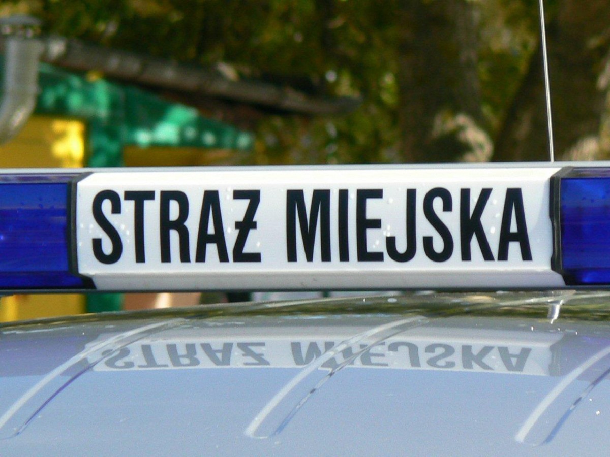 Pijana nieletnia, 93 interwencje i 21 mandatów