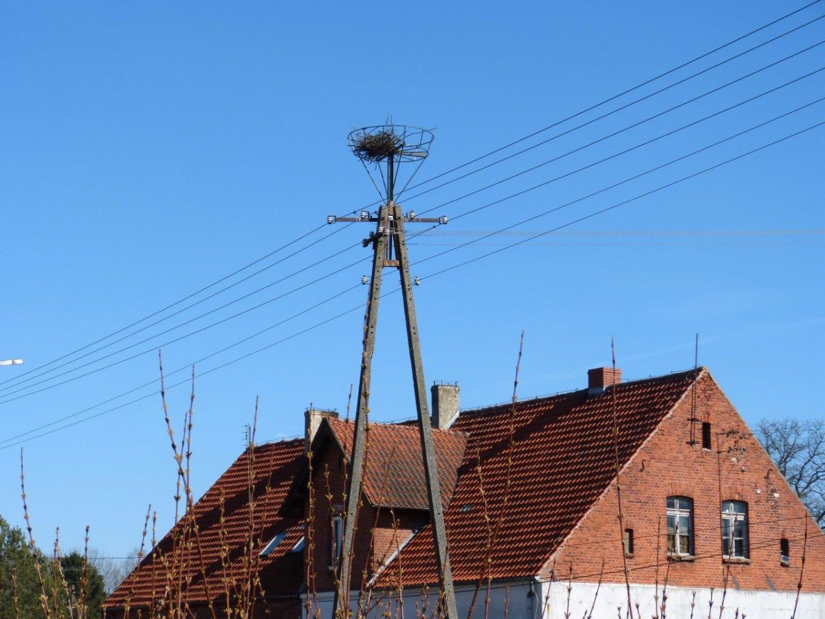 Mamy bocianie gniazdo! Energetycy sprawili się na medal