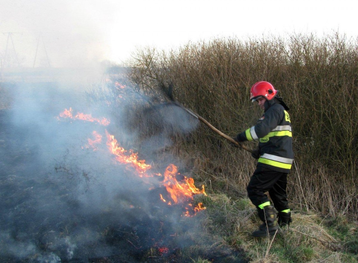 30 pożarów i kot na balkonie