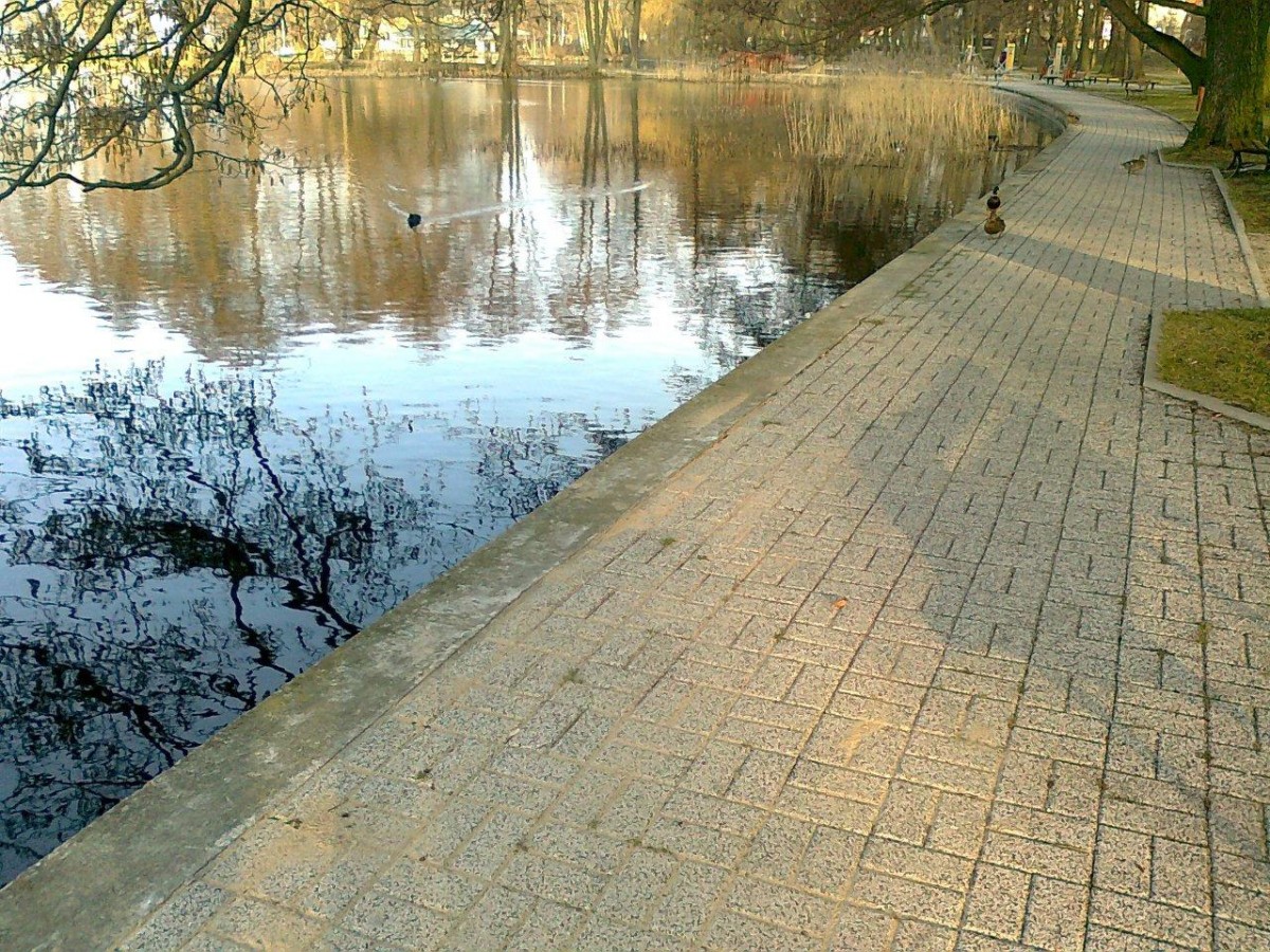 Interwencja „Tematu”. Promenada już naprawiona