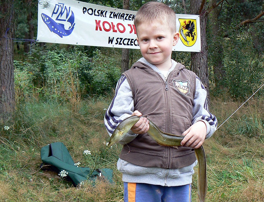 Pieniądze wiją się w Niezdobnej