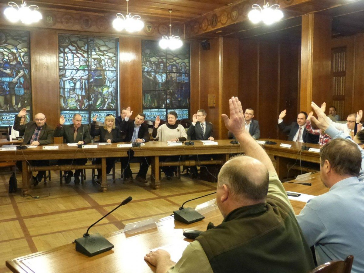 Rada Miasta o bezdomności zwierząt