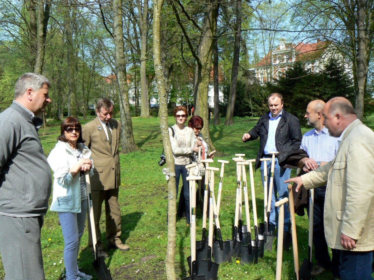 25 dębów na 25-lecie Kronospanu
