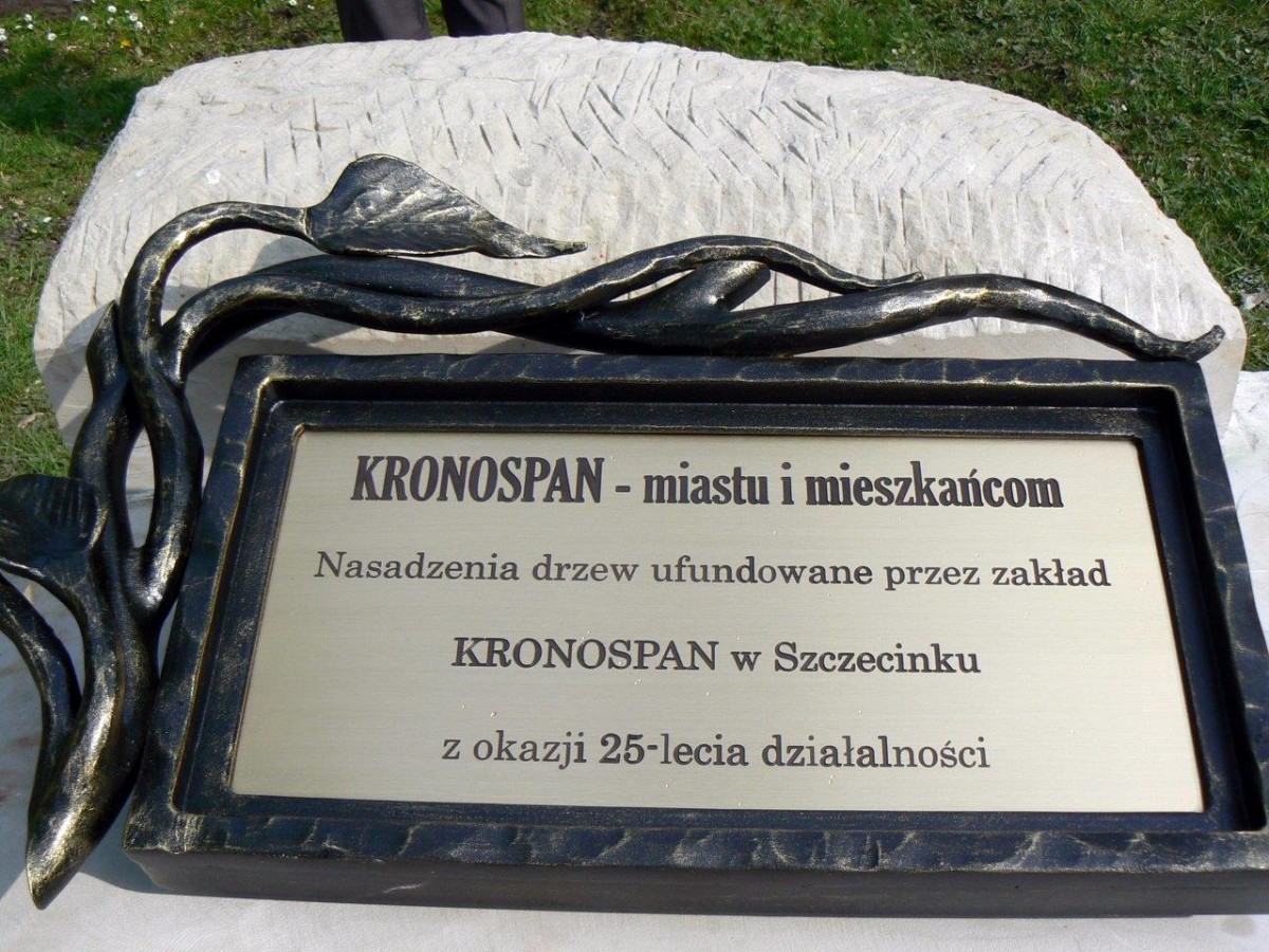 Kronodrzewko na 25-lecie